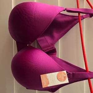 Lane Bryant Fuchsia Bra